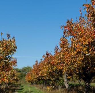 Woodbridge Otro | 'Bramley' Hut on private farm