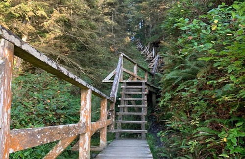 Ucluelet Cabina | Brand new cabin on large property
