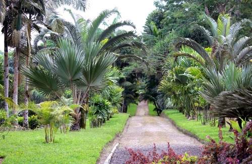 Corales del Sur Apartamento | Brand new Guest Single Room 16 min From Airport