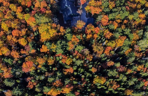 Baileys Harbor Cabina | Brand New, Large Family-Friendly Forest Sanctuary on 9 acres