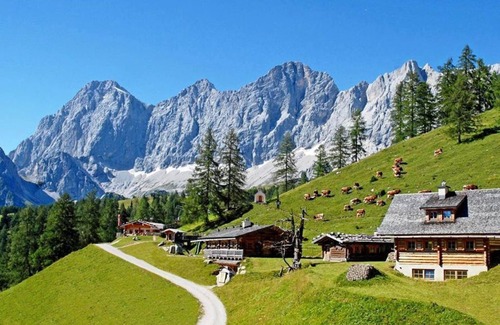 Schildlehen Cabina | Brandhof Chalets am Berg - cozy hut/1 bedroom/ shower, WC