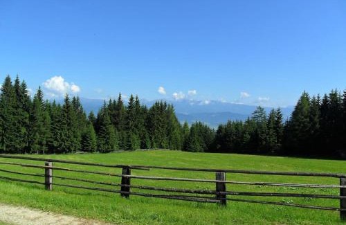 Eppenstein Chalet De Esquí | Brandner Almhütte