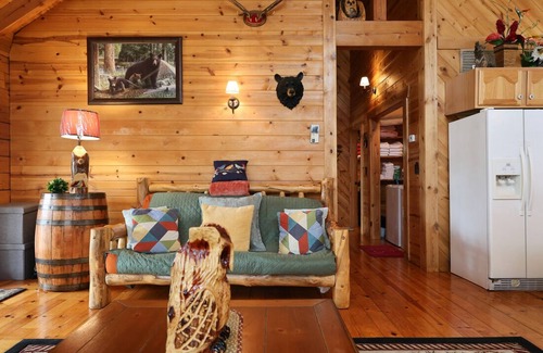 Blue Eye Cabina | Branson MO Log Cabin Porche privado Tranquilo Mtn. Vista del bosque sobre el lago, discapacidad