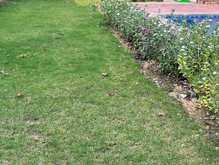 Gurugram Complejo | Brasa farm