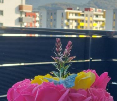 Brasov Apartamento | Brasov Altipiani Apartments
