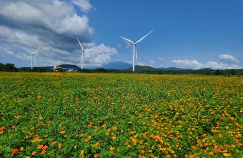 Namwon Casa | Brassica Flower Pension