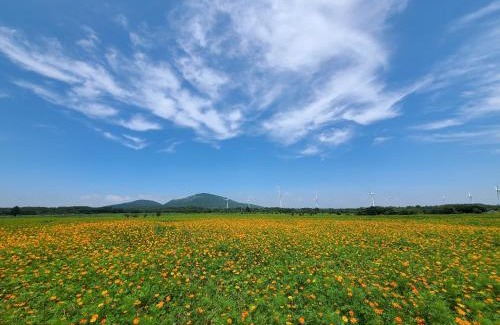 Namwon Casa | Brassica Flower Pension