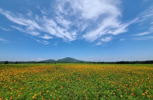 Namwon Casa | Brassica Flower Pension