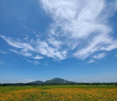 Namwon Casa | Brassica Flower Pension