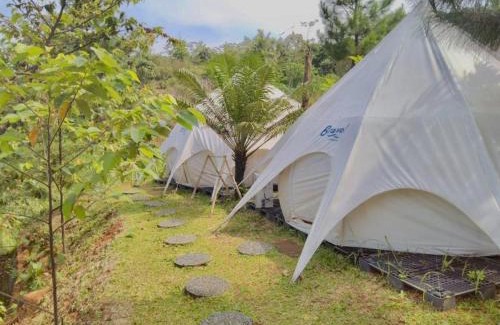 Cikidang Otro | Bravo Adventure Glamping
