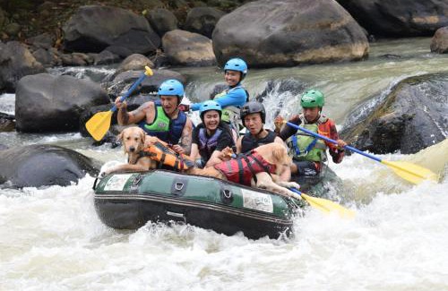 Cikidang Otro | Bravo Adventure Glamping