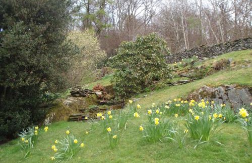 Satterthwaite Casa | Breasty Haw