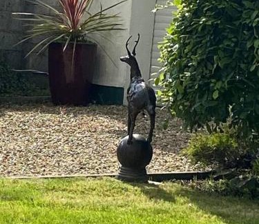 Ballina Casa | Breathnach Cottage Annex Knockleagha Ballina F26 D7E2