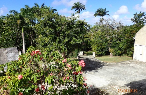 Apes Hill Apartamento | Ventoso, retiro en la cima de una colina con piscina, a solo 10 minutos de Holetown