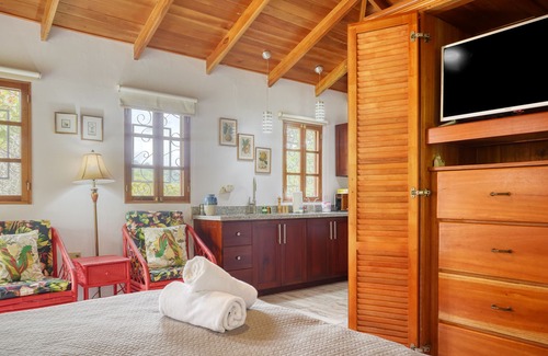 Ojochal Apartamento | Breezy tropical casita on gated estate with lanai & AC - seasonal stays welcome