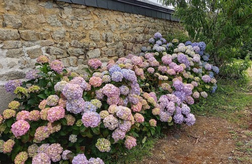 Plogastel-Saint-Germain Casa | Breton house in Pays Bigouden between sea and countryside, South Finistère