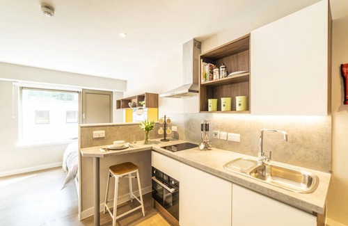 Old Town Apartamento | For Students Only Brewer's Court in Edinburgh