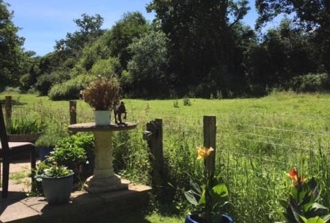 Midhurst Casa | Bridge Cottage