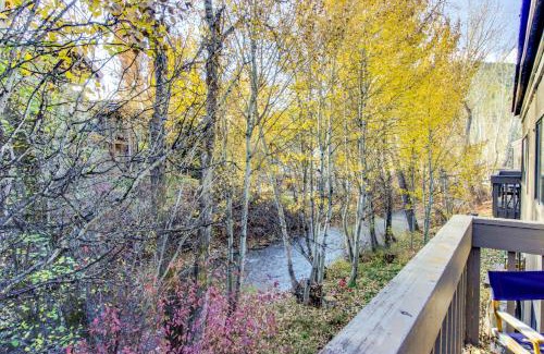 Ketchum Apartamento | Bridgepoint Condo on Trail Creek