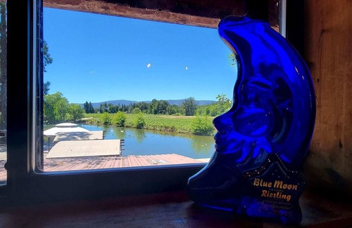 Cave Junction Apartamento | Bridgeview Winery Suite With Gorgeous Mountain Views and Scenic Outdoor Space!