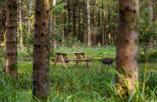 Middlemarsh Otro | Bridgewood Camping - CABIN