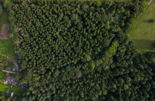 Middlemarsh Otro | Bridgewood Camping - CABIN