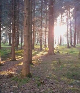 Middlemarsh Otro | Bridgewood Camping - CABIN