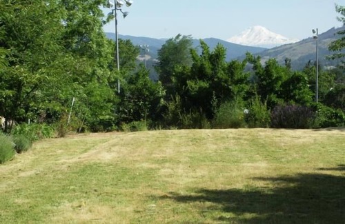 Hood River Cabaña | Acogedora casa de campo brillante con Mt. Vista Adams