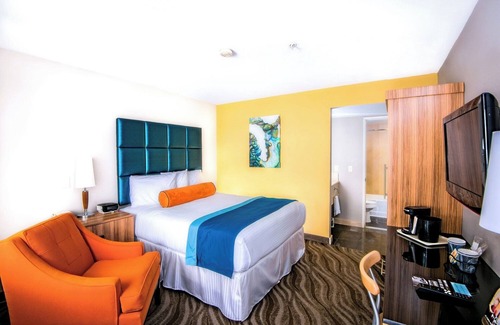 Little Italy Hotel | Bright Room w/ Artistic Touch Near Museums, Harbor + Local Attractions