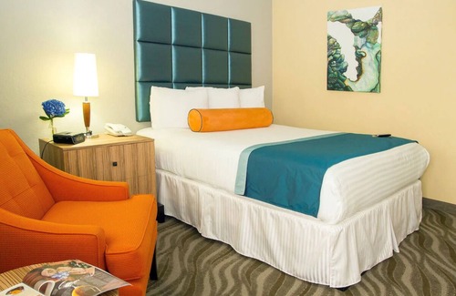 Little Italy Hotel | Bright Room w/ Artistic Touch Near Museums, Harbor + Local Attractions