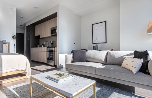 South Loop Apartamento | Bright South Loop Studio w/ Pool, Gym, walk to Grant Park, by Blueground (ID #CHI347)