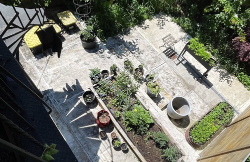 East Williamsburg Casa | Bright & Spacious Garden Apartment with workspace in Vibrant Bushwick + Parking!