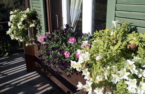 Diessbach Apartamento | Bright, sunny holiday apartment on the farm