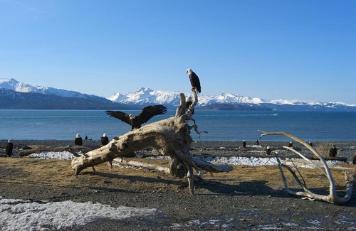Kachemak Cama Y Desayuno | Brigitte's Bavarian Bed und Breakfast