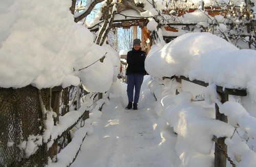 Kachemak Cama Y Desayuno | Brigitte's Bavarian Bed und Breakfast