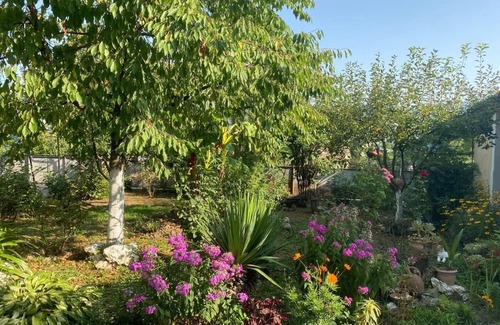 Tsageri Apartamento | Brilliant 3-bedroom apartment in Chalistavi