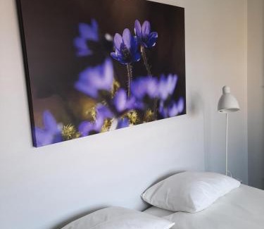 Lidkoping Cama Y Desayuno | Broholm Bed&Breakfast