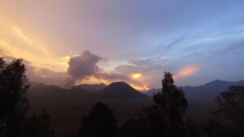 Ngadisari Casa | Bromo Holiday Guest House