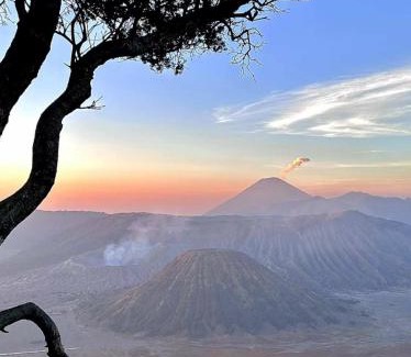 Ngadisari Casa | Bromo Holiday Guest House