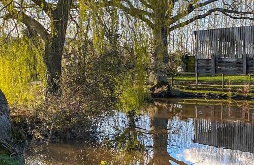 Mathon Casa | Brook House