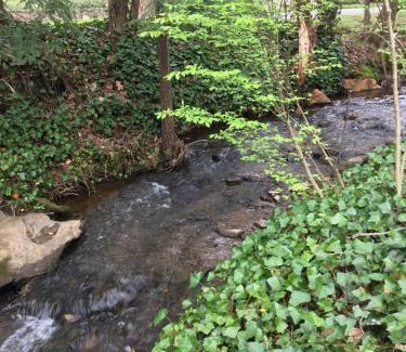 Waynesville Casa | Brookside Cottages