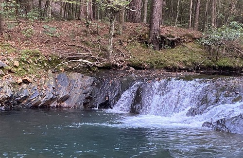 Pine Ridge Alquiler De RV | Brookside RV Retreat Site #4 - Big Fork Creek Access - Close to Wolf Pen Gap