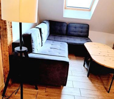 Raciborz Apartamento | Browarna 14 jacuzzi, prestige