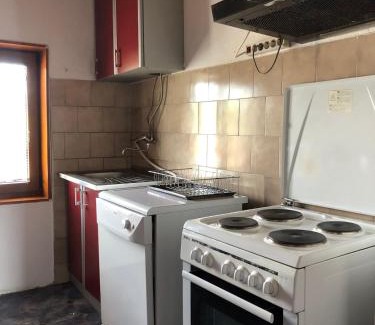 Tepacko Polje Casa | brown bear lodge