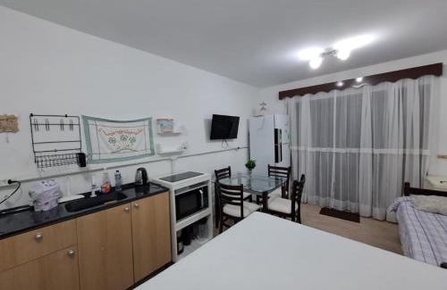 Bateas Apartamento | Brusque Comfort Studios