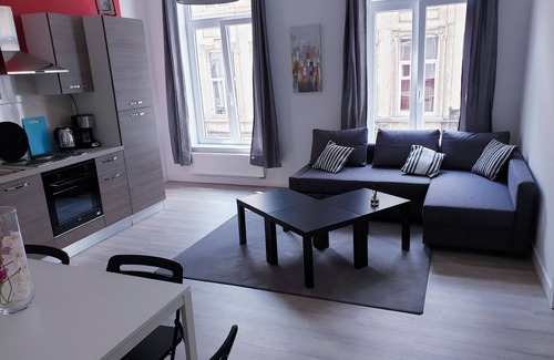 Ilot Sacre Apartamento | Brussels apartments luxury