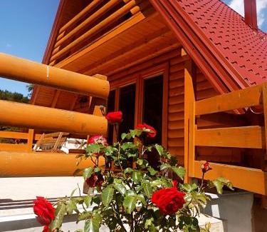 East Sarajevo Casa | Brvnara Jahorinka