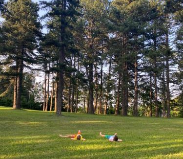 Zlatibor Chalet De Esquí | Brvnare Park Borova