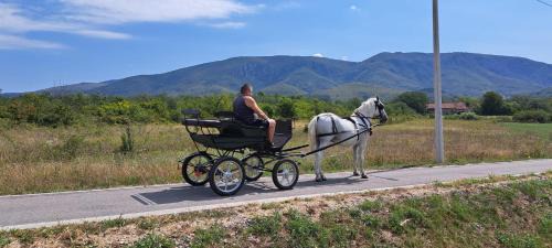Zdrelo Chalet De Esquí | Brvnare Tomić 2 i 3