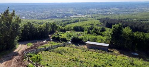 Zdrelo Chalet De Esquí | Brvnare Tomić 2 i 3